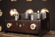 BUTTERFLY integrated amplifier