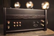 BUTTERFLY integrated amplifier